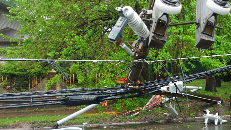 Power lines obstructed by a fallen tree